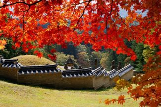 Điểm đến mà du khách không thể bỏ qua ngắm Mùa thu Lá đỏ tại Hàn Quốc